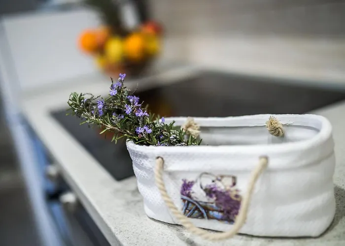 & Sunshine - Apartment